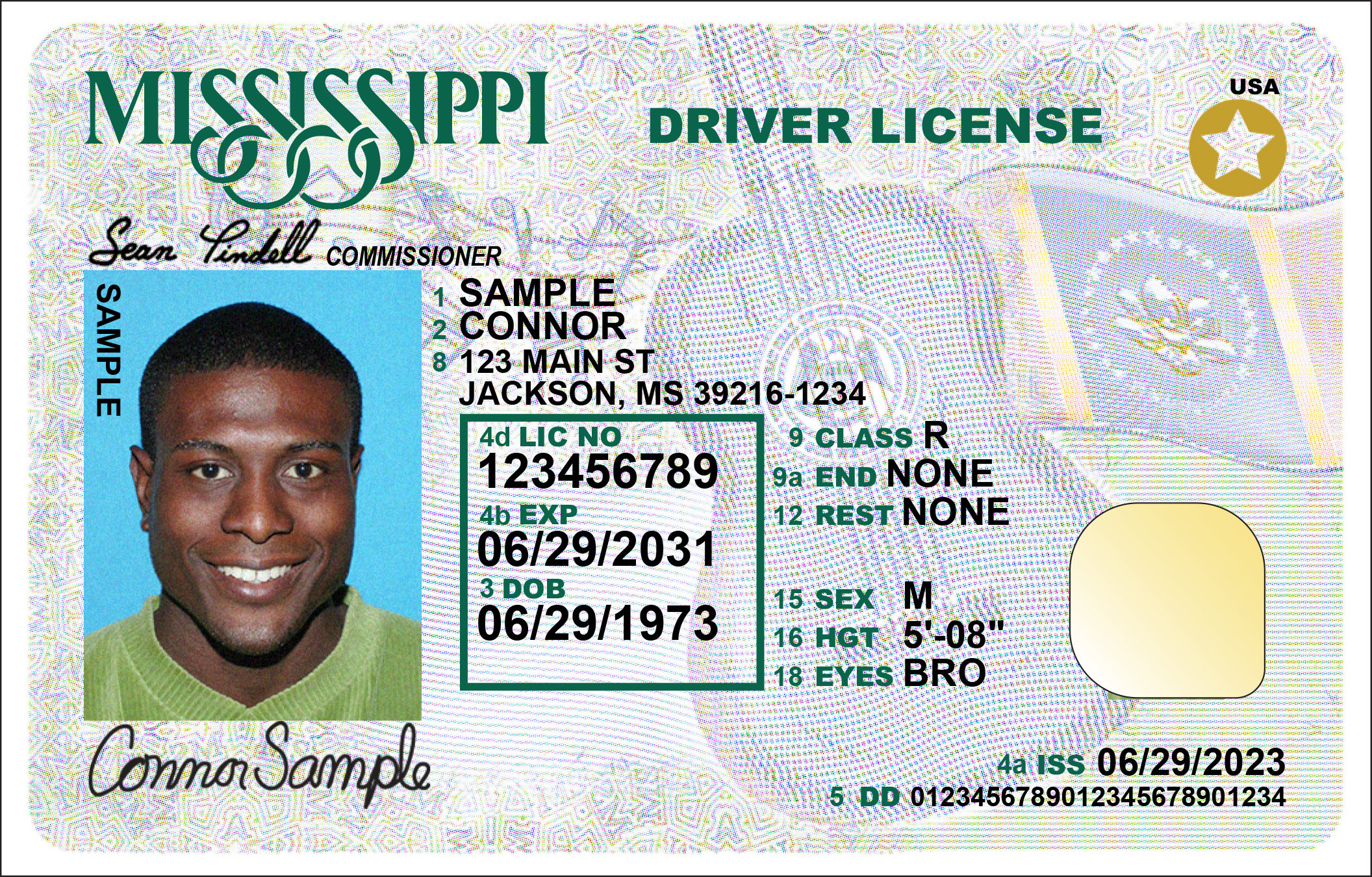adult dl